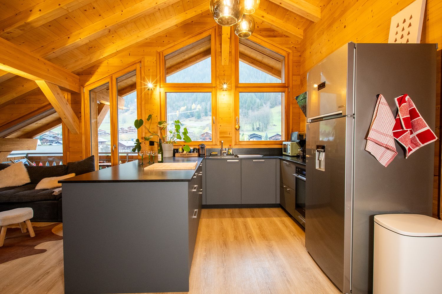 Environnement de l'appartement à Châtel